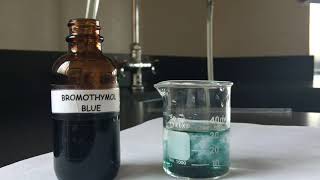 ღღ Bromothymol Blue Respiratory Physiology Experiment ღღ [upl. by Oderfliw936]