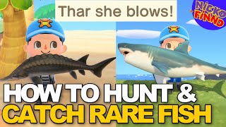 How To Hunt and Catch Any RARE Fish In Animal Crossing New Horizons [upl. by Parsons]