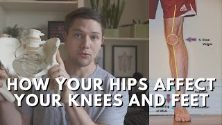 How Your Hips Influence Your Leg Knee amp Foot  Beginner Biomechanics [upl. by Melinde974]