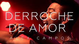 Alex Campos  Derroche de amor  El Concierto Derroche de Amor HD [upl. by Erdnoed]