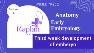 004 Anatomy Early embryology section 1 3th week development of embryo USMLE STEP 1 [upl. by Elsworth]