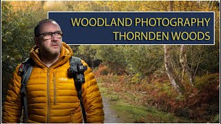 Exploring Thornden Woods  A Hidden Gem In The Heart Of Kent [upl. by Eden]