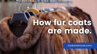 How Fur Coats Are Made Start to Finish [upl. by Llenor]