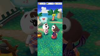 Animal Crossing Pocket Camp  Gameplay 47 [upl. by Chlori569]