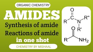 Amides Synthesis and Reactions Complete amides in one shot  Bs Chemistry [upl. by Verlie596]