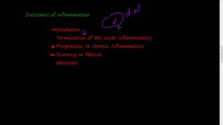 22  Defects in leukocyte function and outcomes of inflammation [upl. by Keefe]