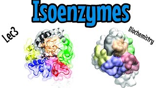 Isoenzymes Lec3 شرح [upl. by Phillips]