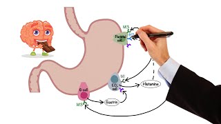 Pharmacology  GASTROINTESTINAL AND ANTIEMETIC DRUGS MADE EASY [upl. by Ytsihc]