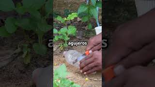 🌻 Jardines Increíbles con Materiales Reciclados  ¡Creatividad al Máximo 🚀 [upl. by Karb]