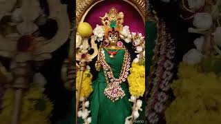 Sri Vana pechi Amman Sri Veera Bhadrakali Amman [upl. by Osugi437]