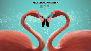 Makebo amp Amonita  True Original Mix [upl. by Tuck]