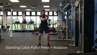 Standing Cable Pallof Press  Rotation [upl. by Hannasus]