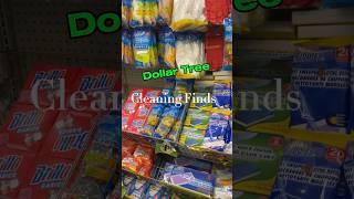 Cleaning supplies at Dollar Tree 🌲🛒 arcade you tried any of these items dollartree youtube [upl. by Arrec577]