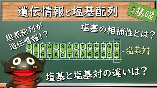 遺伝情報と塩基配列【50生物基礎】新課程対応 [upl. by Ronalda]