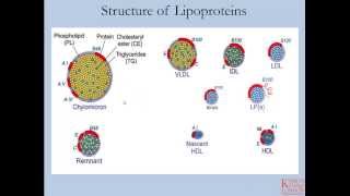 Lipids and Lipoproteins  Part 1 [upl. by Dde]