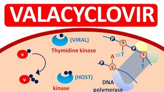 Valacyclovir Tablets VALTREX for herpes infections [upl. by Fabrice471]