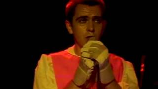 Peter Gabriel  Perspective Rockpalast TV Performance 1978 [upl. by Egedan]