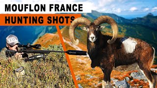 Chasse au Mouflon  Chamois  France 2024 [upl. by Hniht]