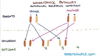 Understanding Autosomal Dominant and Autosomal Recessive Inheritance [upl. by Alliw538]