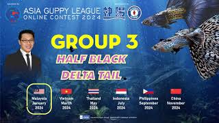 Guppy Show  Asia Guppy League 2024  Malaysia Contest Online  Group 3 HalfBlack Delta Tail [upl. by Stevens]