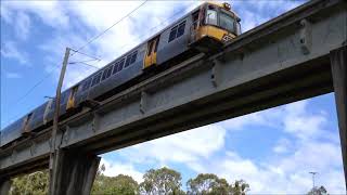 Qld Rail EMUs and SMUs on the Birkdale Viaduct [upl. by Veronique]