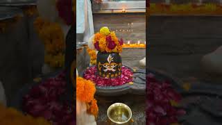 ❤️❤️ bholenath mahakal mahadev shorts viralshorts [upl. by Eupheemia]