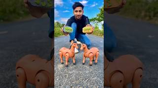 RC Remote Control Two Horse 🐎 Unboxing and Testing [upl. by Aisayn]