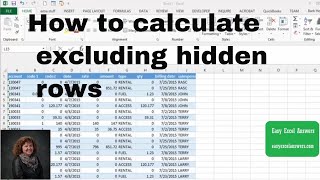 How to calculate excluding hidden rows in Excel [upl. by Felipe]