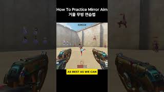 How To Practice Mirror Aim [upl. by Silvana]