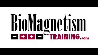 Biomagnetic Pair Therapy  BiomagnetismTraining [upl. by Loydie953]