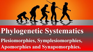 Phylogenetic Systematics Plesiomorphies Symplesiomorphies Apomorphies and SynapomorphiesLesson 6 [upl. by Ingraham]