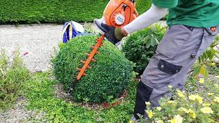 Trimming Shrubs With The STIHL HS 56 Hedge Trimmer [upl. by Ashelman]