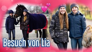 WIEDERSEHEN mit Lia FMA [upl. by Assiron]