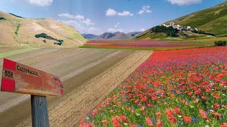 PIANA DI CASTELLUCCIO DI NORCIA Tutto quello che devi sapere [upl. by Hippel892]