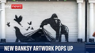 New Banksy artwork appears at London Zoo [upl. by Saxen]