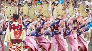 Japanese traditional dance Awa Odori 2024 Koenji  ​⁠vishallamaofficial1960 [upl. by Nerval224]