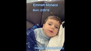 LEUKODYSTROPHY AWARENESS SLIDESHOW 2019 [upl. by Nyrret579]