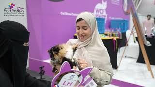 Saudi Pet amp Vet Expo 2024  Cat Show [upl. by Helfant]