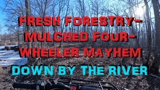 FourWheeling Fresh ForestryMulched Trails [upl. by Reldnahc156]