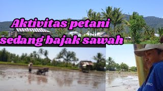 Petani bajak sawah keindahan persawahan Curup Chanel 03 [upl. by Adnale]