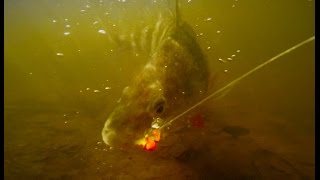 How to Catch Perch and Crappie on a Float and Fly [upl. by Concha]