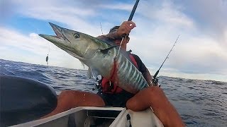 Wahoo Time  Kayak Fishing Australia [upl. by Leahcimluap]