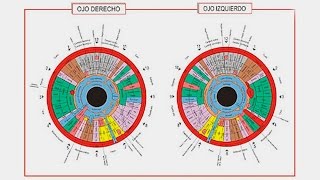 Iriología cómo ver a través del ojo si una persona tiene salud [upl. by Nireil182]