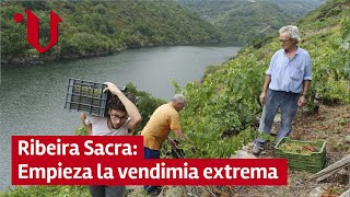 🍇 Ribeira Sacra empieza la vendimia extrema [upl. by Oates176]