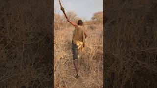 Run like no way Hunting skills hadzabetribe hadzabe wildlife trending hadzabetribe africa [upl. by Amhsirak]