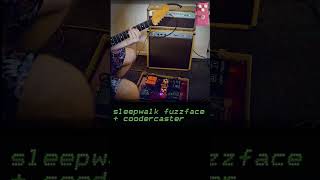 coodercaster slide fuzzface [upl. by Haelam]