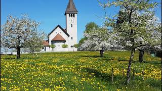 Livestream von Katholische Pfarrei Wetzikon [upl. by Loftis57]