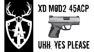 xd 45 acp mod 2 honest review [upl. by Barbie]