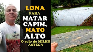 MATA MATO caseiro e PLANTANDO o MILHO CRIOULO [upl. by Pacien558]