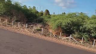 nova atualização do Rodoanel viário Mossoró rn [upl. by Wulfe]